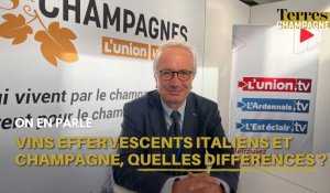 Viteff Epernay : Quelle est la différence entre le champagne et les vins effervescents ?