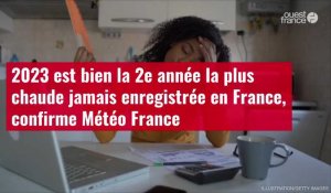 VIDÉO. 2023 est bien la 2e année la plus chaude jamais enregistrée en France, confirme Météo France