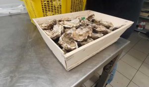 Entre interdiction et "psychose", un coup dur pour les huîtres de Normandie