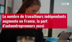VIDÉO. Le nombre de travailleurs indépendants augmente en France, la part d'autoentrepreneurs aussi