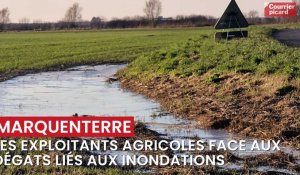 Les exploitants agricoles du Marquenterre face aux dégâts liés aux inondations