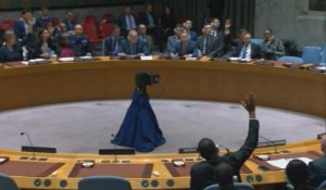 Mer Rouge: le Conseil de sécurité de l'ONU exige l'arrêt "immédiat" des attaques des Houthis