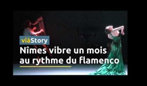 Le Festival du Flamenco : L'identité espagnole en plein coeur de Nîmes
