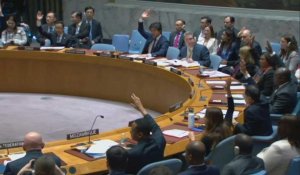 Gaza: le Conseil de sécurité de l'ONU exige une aide "à grande échelle"