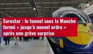 VIDÉO. Eurostar : le tunnel sous la Manche fermé « jusqu’à nouvel ordre » après une grève surprise