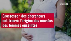 VIDÉO. Grossesse : des chercheurs ont trouvé l’origine des nausées des femmes enceintes