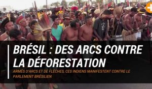 Brésil : des arcs contre la déforestation