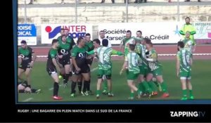Une violente bagarre éclate dans un match de rugby (vidéo)