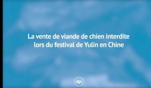 La vente de viande de chien interdite lors du festival de Yulin en Chine