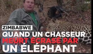 Un chasseur professionnel meurt écrasé par un éléphant