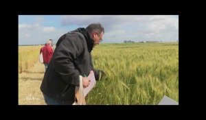 Vendée : Un rallye pour promouvoir l'agriculture biologique