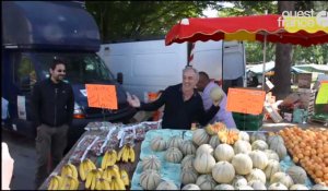 Législatives. Philippe Poutou fait son marché à Rennes