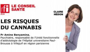 Les risques du cannabis