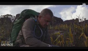 A l'état sauvage : Christophe Dechavanne en larmes, il craque après la descente en rappel (Vidéo)