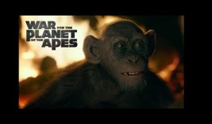War for the Planet of the Apes | Official Clip 'Bad Ape' | HD | NL/FR | 2017