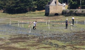 Championnat du monde de course de sabot de planche sur vase