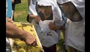reportage au rucher d'Arlon pour la semaine de l'abeille