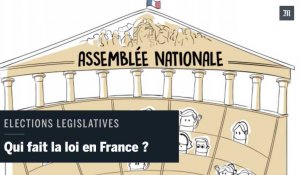 Qui fait la loi en France ? 