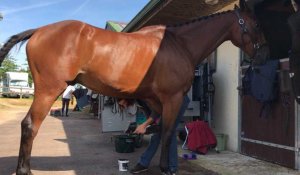 Émilie Guston, groom de Nicolas Touzaint, lors du concours complet international 