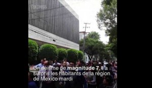 Un violent séisme secoue le Mexique
