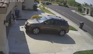 Trop pressée, elle se prend la porte de son garage en pleine tête (Vidéo)
