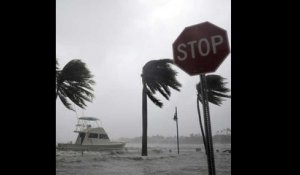 À Miami, Irma inonde les rues et casse des grues