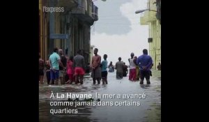 Après le passage d'Irma, l'île de Cuba ravagée