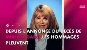 Mireille Darc décédée : Christophe Beaugrand, Stépharne Bern ... Les stars réagissent