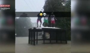 Ouragan Harvey : Ils s'amusent à sauter sur un abribus pendant les inondations (Vidéo)