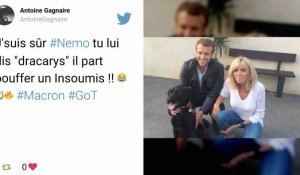 Un nouveau chien à l'Elysée: les Macron adoptent "Némo"