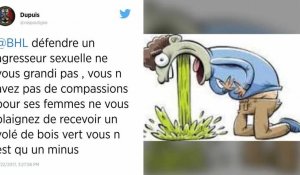 Agression sexuelle: Bernard-Henri Lévy prend la défense de Frédéric Haziza sur Twitter