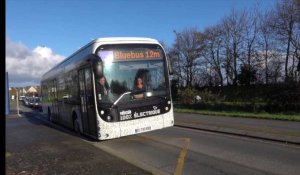 Bibus teste le Bluebus