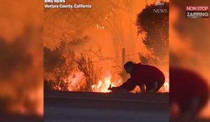 Incendie en Californie : Un homme brave les flammes pour secourir un lapin (Vidéo)