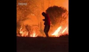 Incendies en Californie: un homme sauve un lapin du brasier