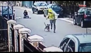 Un chien défend une jeune femme et poursuit son agresseur ! (vidéo)