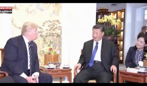 Donald Trump utilise sa petite-fille pour charmer le président chinois (vidéo)