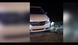 Un pitbull enragé s'attaque à une voiture (vidéo)
