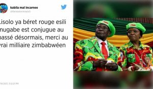Zimbabwe. Le président Robert Mugabe poussé vers la sortie par son parti