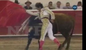 Un taureau plante un toréador pile poil dans l'entrejambe (Vidéo) 