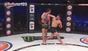 MMA - Bellator 189 : Gaston Bolanos réalise un KO incroyable ! (Vidéo)