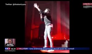 Johnny Hallyday mort : Amir, Michel Sardou et Julien Clerc lui rendent hommage sur scène (Vidéo)