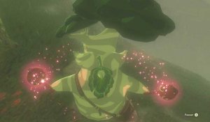 Zelda : les noix korogus de la zone "Tour de la Plaine (château d'Hyrule)"