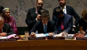 Syrie: Début d'une réunion du Conseil de sécurité en urgence