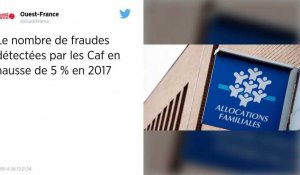 Le nombre de fraudes détectées par les Caf en hausse de 5 % en 2017.