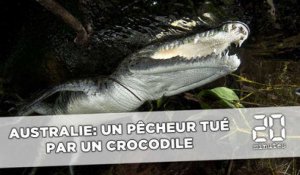 Australie: Un pêcheur tué par un crocodile