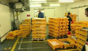 Aux Shetland, les pêcheurs espèrent renaître grâce au Brexit