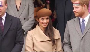 Le Prince Harry et Meghan Markle : le mariage aura lieu au château de Windsor (Vidéo)