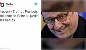 Petites phrases de François Hollande : la colère du député rennais Florian Bachelier.