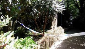 Ixelles: une femme s'immole par le feu au parc Tenbosch