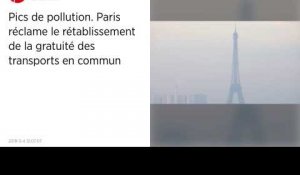 Pics de pollution. Paris réclame le rétablissement de la gratuité des transports en commun.